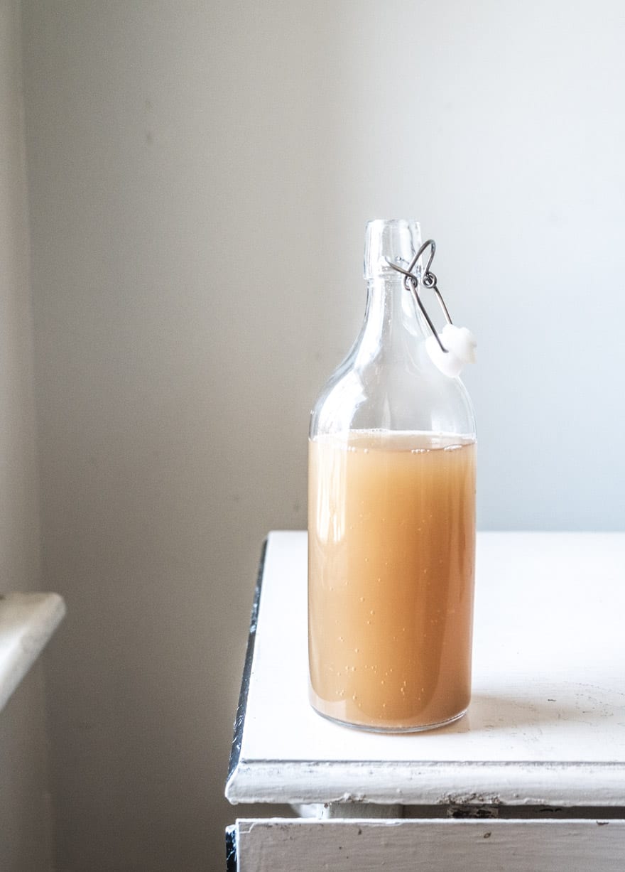 kombucha slushie